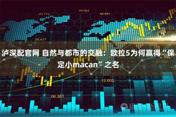 泸深配官网 自然与都市的交融：欧拉5为何赢得“保定小macan”之名