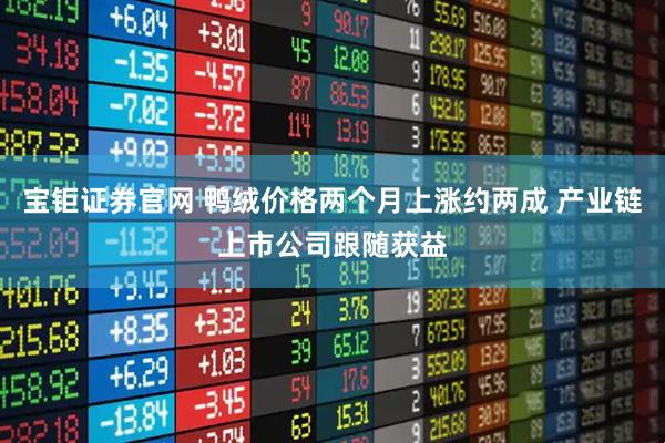 宝钜证券官网 鸭绒价格两个月上涨约两成 产业链上市公司跟随获益